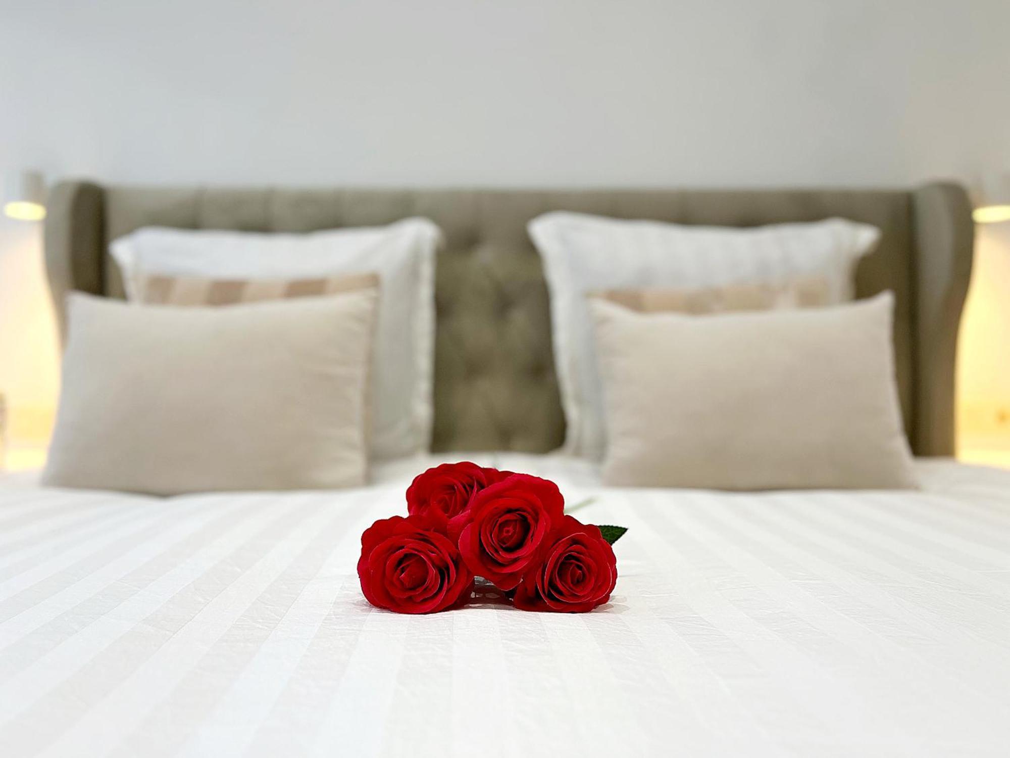 Sublime Appartement Calme Cosy & Jacuzzi, Brussels